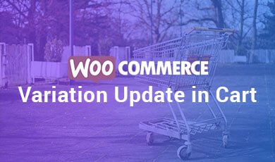 WooCommerce-Variation-Update-in-Cart-image